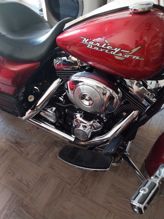 Road King vendo contrariado