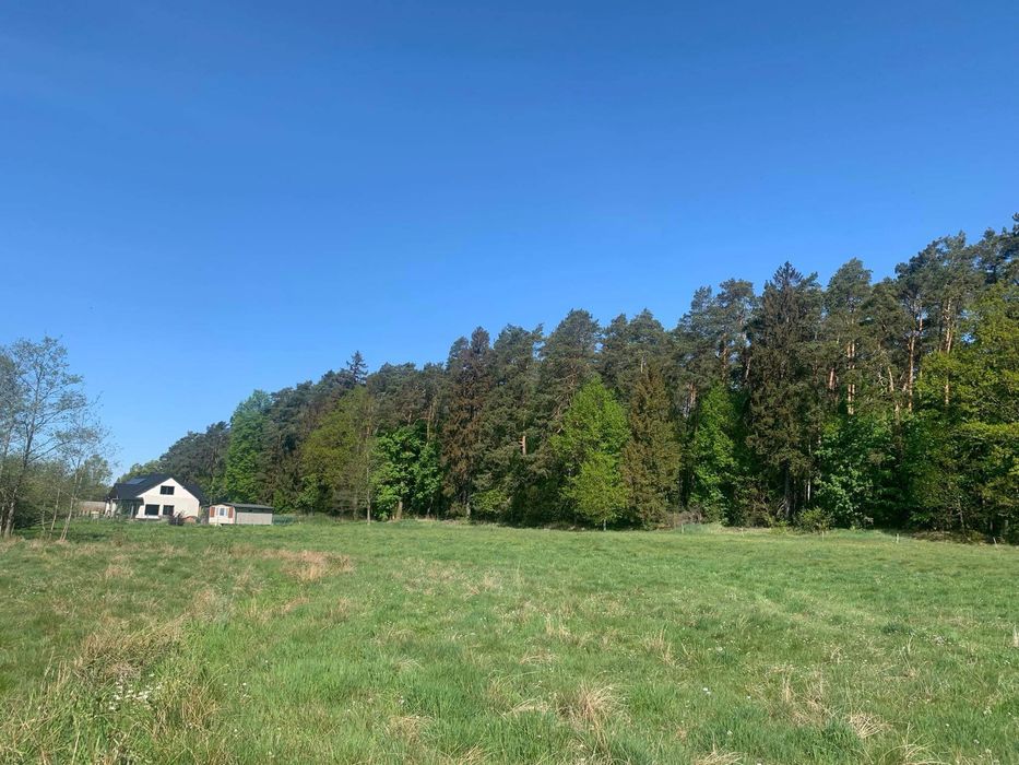 Sprzedam działke w Adamowie