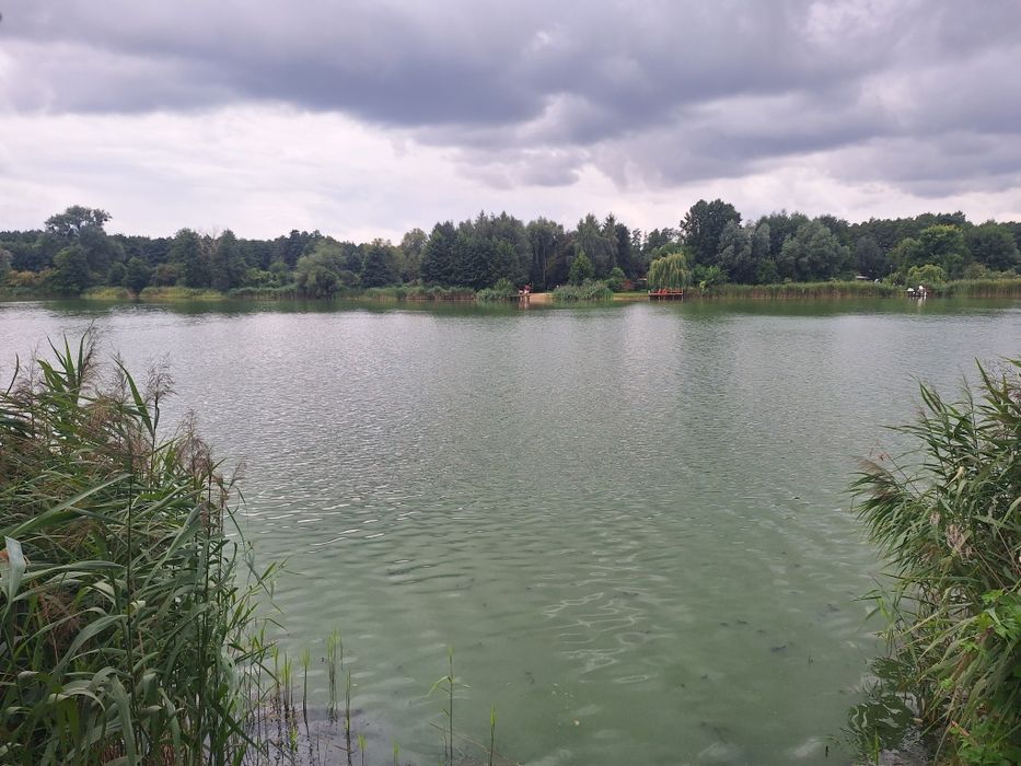 Dzialka nad jeziorem z linia brzegową - Widok 2