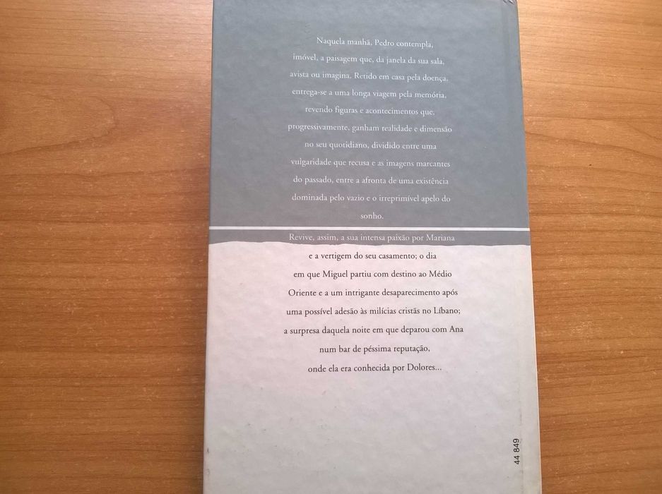 A Decadência do Sonho - José Manuel Arrobas