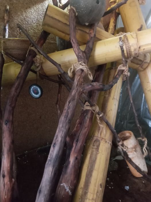 Продам террариум