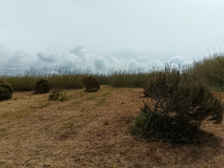 Terreno rústico na Serra do Bouro
