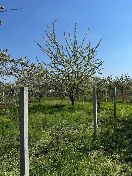 Продаж дачного будинку з ділянкою 7 соток, 16 кв. м