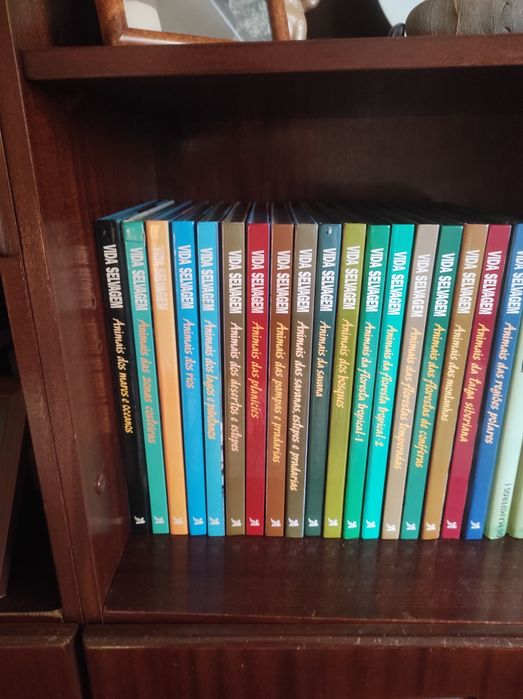 Vários livros clássicos