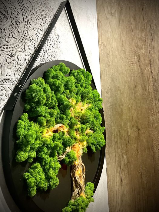 Obraz z mchu koło metal loft żywy mech chrobotek