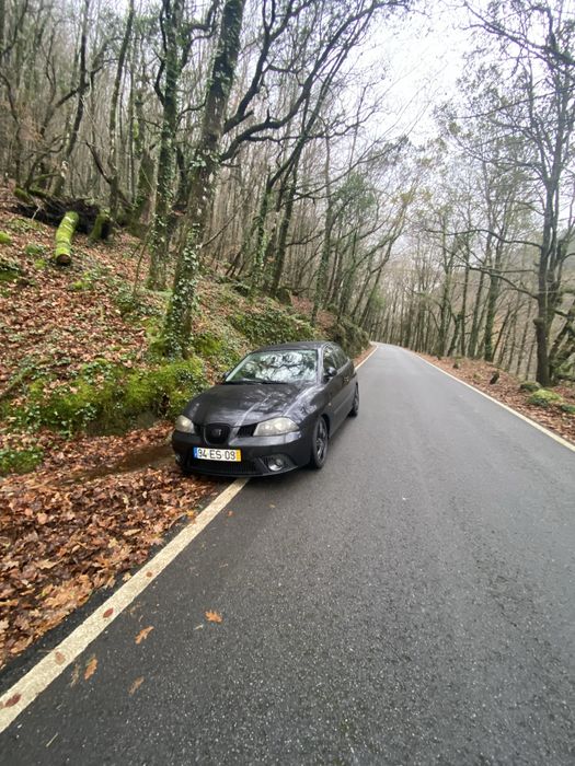 Seat Ibiza 6L 2007 — photo 4