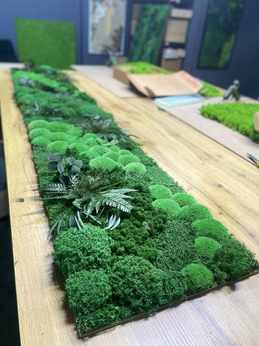 Фитопано з Моху. Панелі з Моху