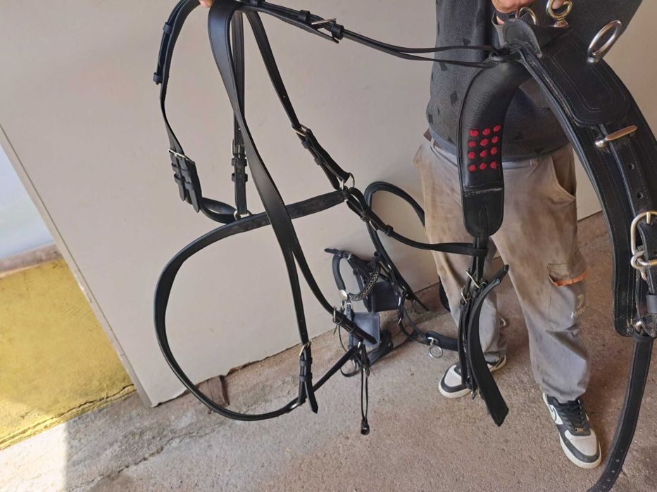 Cabeçada e areeios