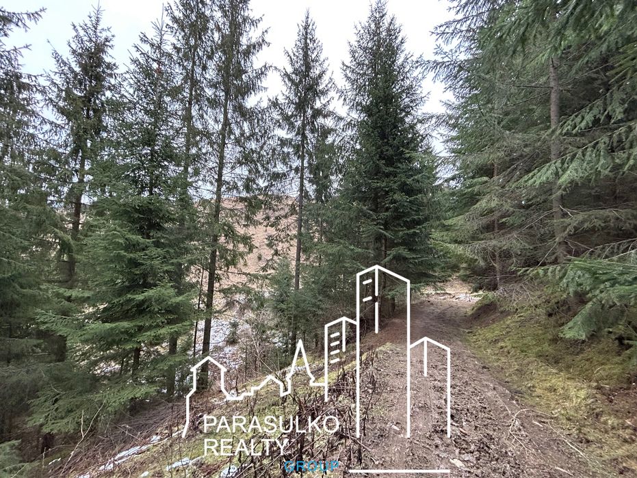 Продам земельну мальовничу ділянку в Карпатах
