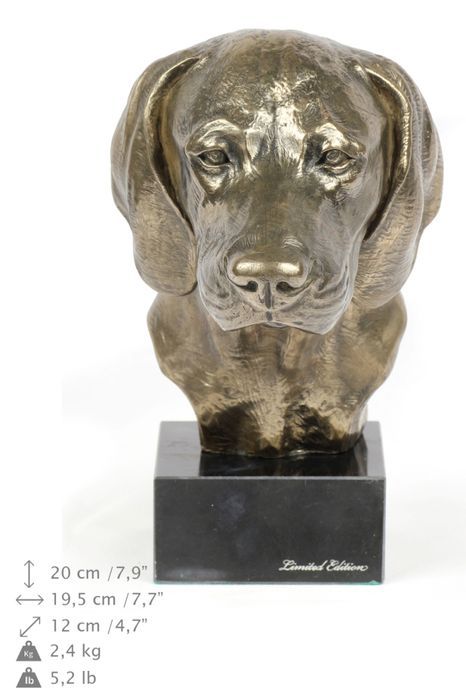 Wyżeł weimarski głowa na kamieniu Art-Dog