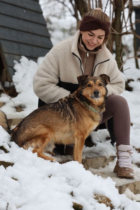 Przytulaśny samiec do adopcji