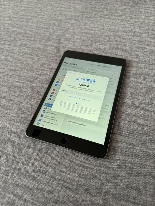 iPad Mini 5 64gb Wi-Fi Gray (17)