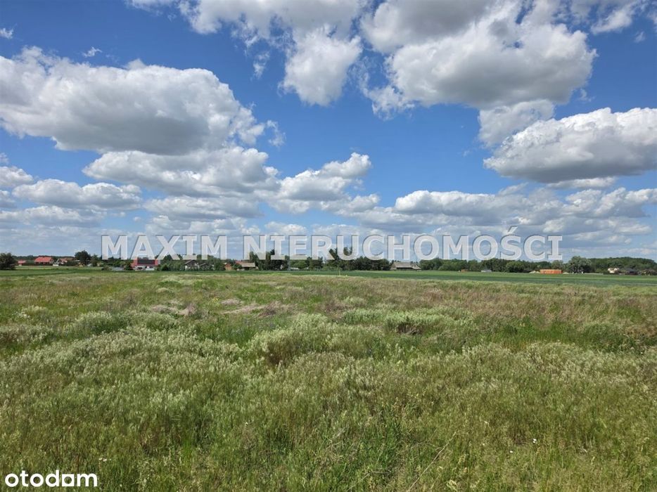 Działka 0,60 ha w Siedlinie k/Płońska - Widok 6