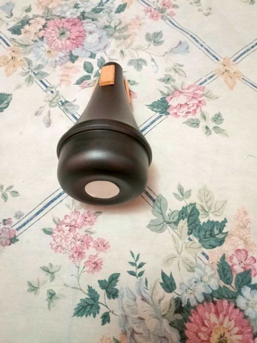 Труба Roy Benson