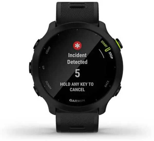 Смарт-годинник Garmin Forerunner 55 Black (010-02562-00/10)