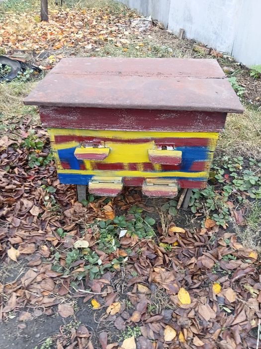 Продам вулики лежаки