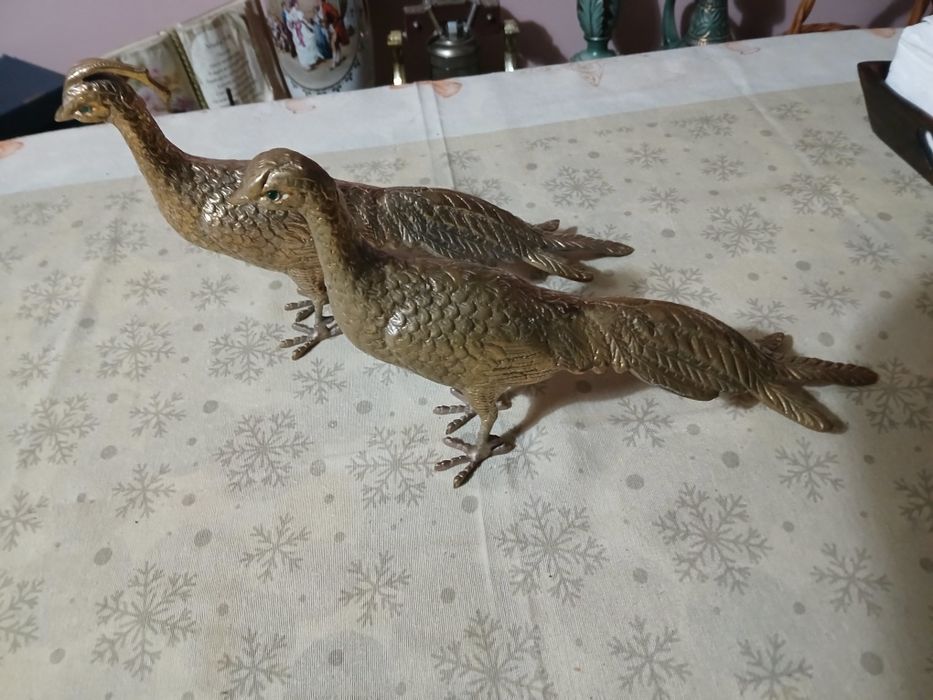 Vendo um conjunto  de faisões