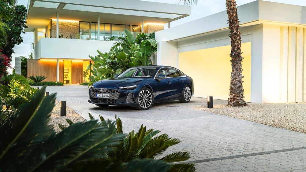 Zdjecie w galerii numer 2