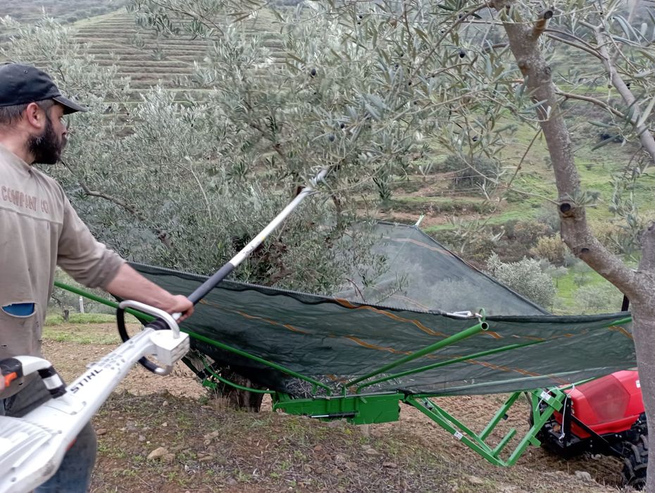 Apanha frutos ou azeitona manual