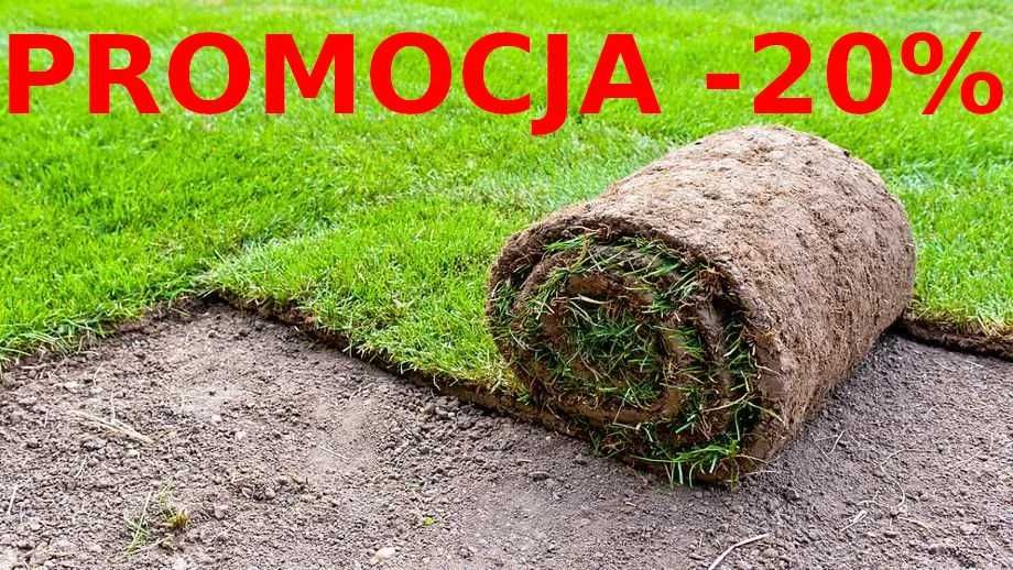 Usługi ogrodnicze/Trawa/Pielęgnacja/Obsługa/Nawadnianie