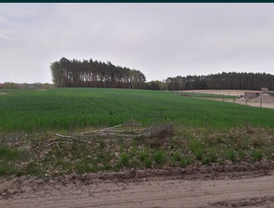 Sprzedam działkę 6.5 ha