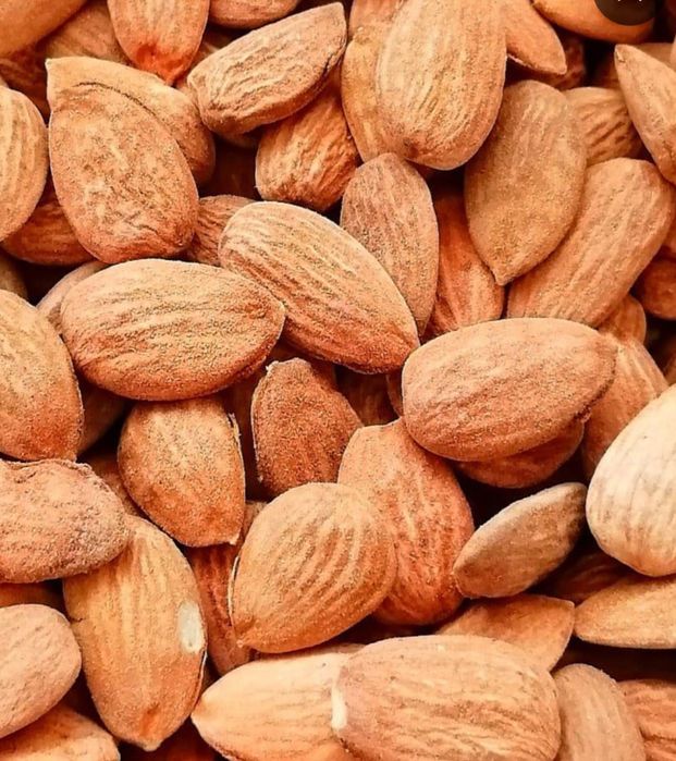 Amendoa em grão, de Foz côa