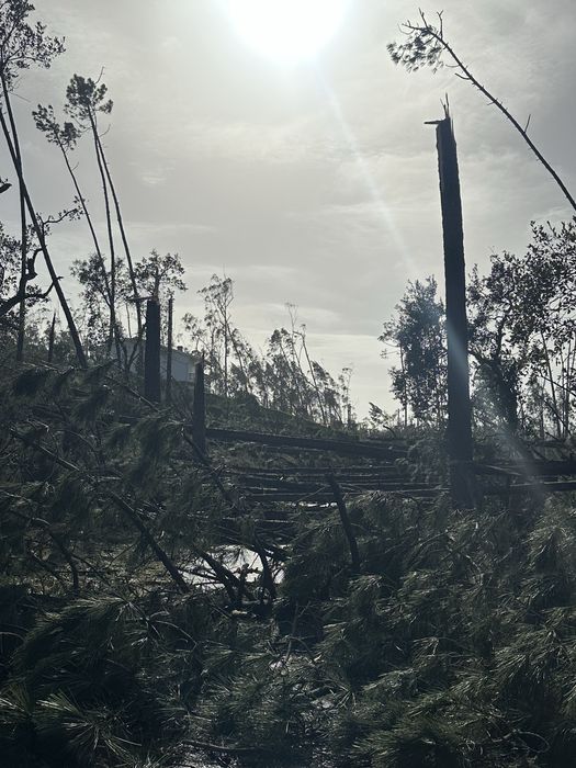 Limpeza de terrenos - leiria