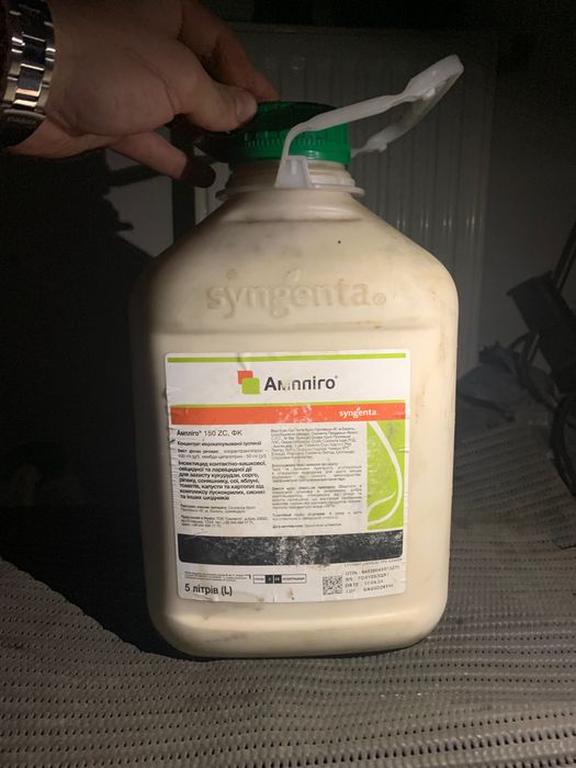 Ампліго і амістар