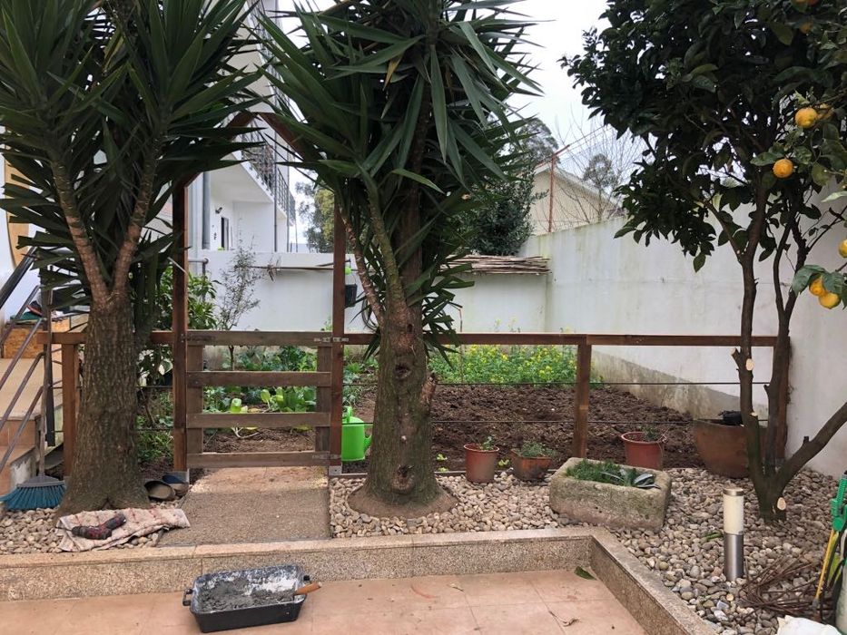 Biscateiro & HandyMan