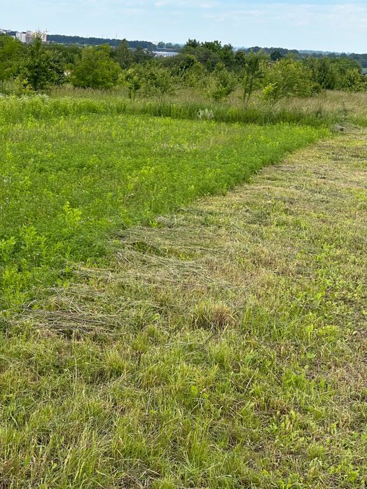 Продаж земельної ділянки