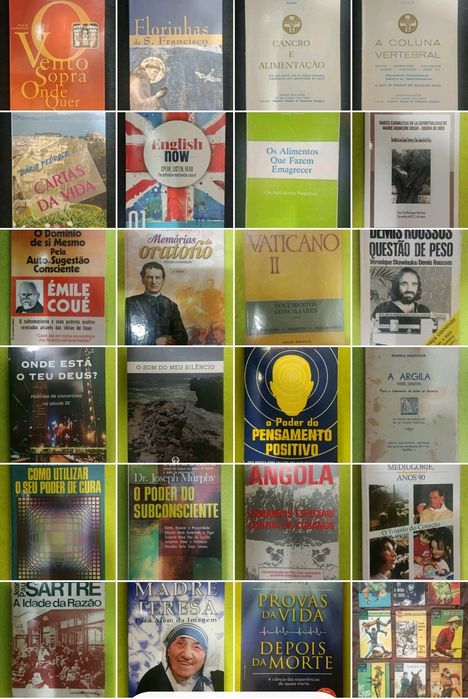 Lote  de  LIVROS  top  ( interessantes )