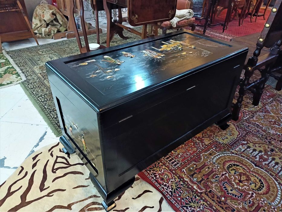 Arca Chinesa Canfora