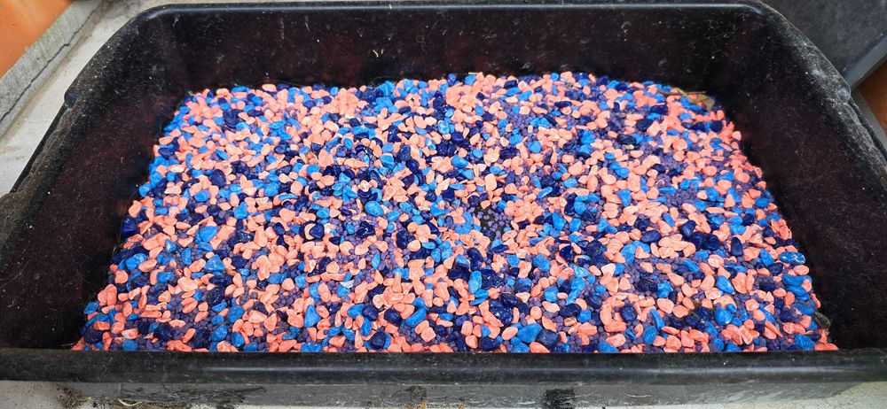 Decoração para aquário