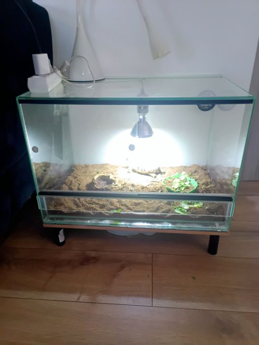 Terrarium 60x40x40
