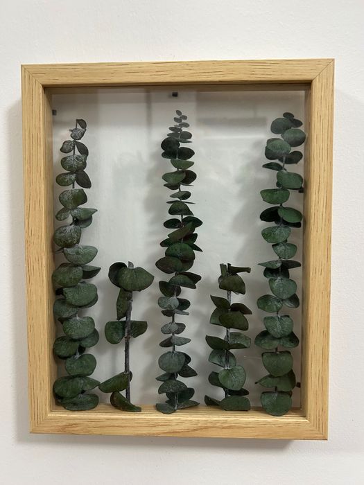 Quadros decorativos com plantas
