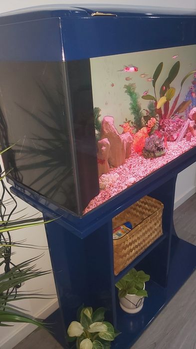 Aquário 160 litros