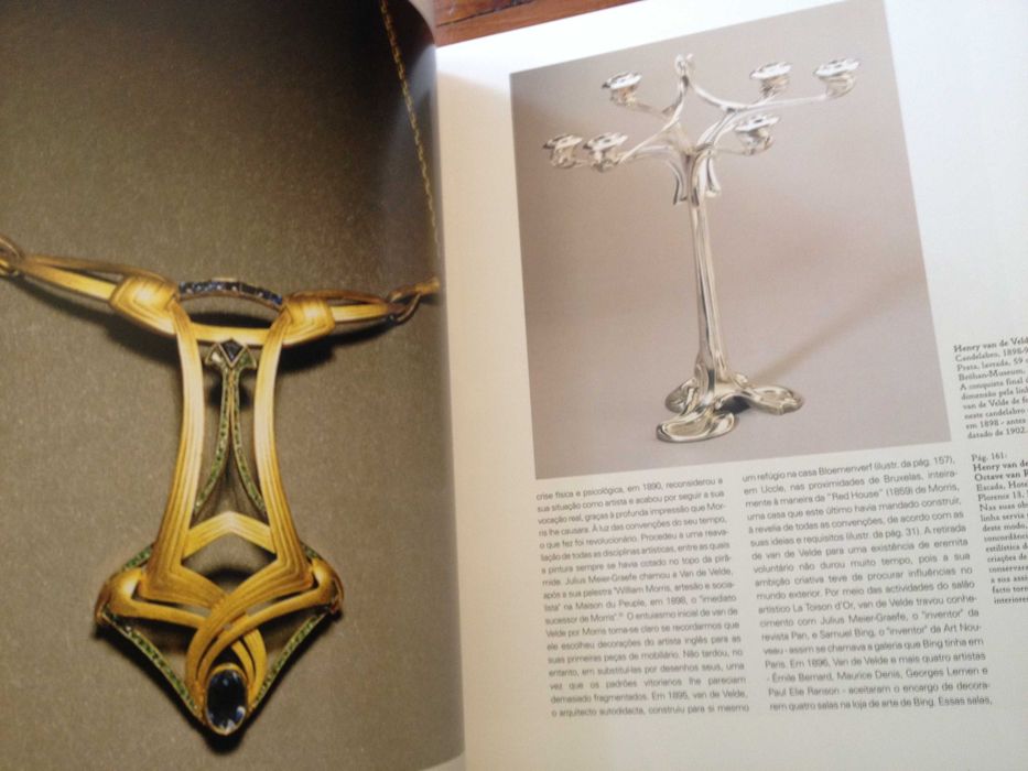 Gabriele Fahr-Becker - A Arte Nova