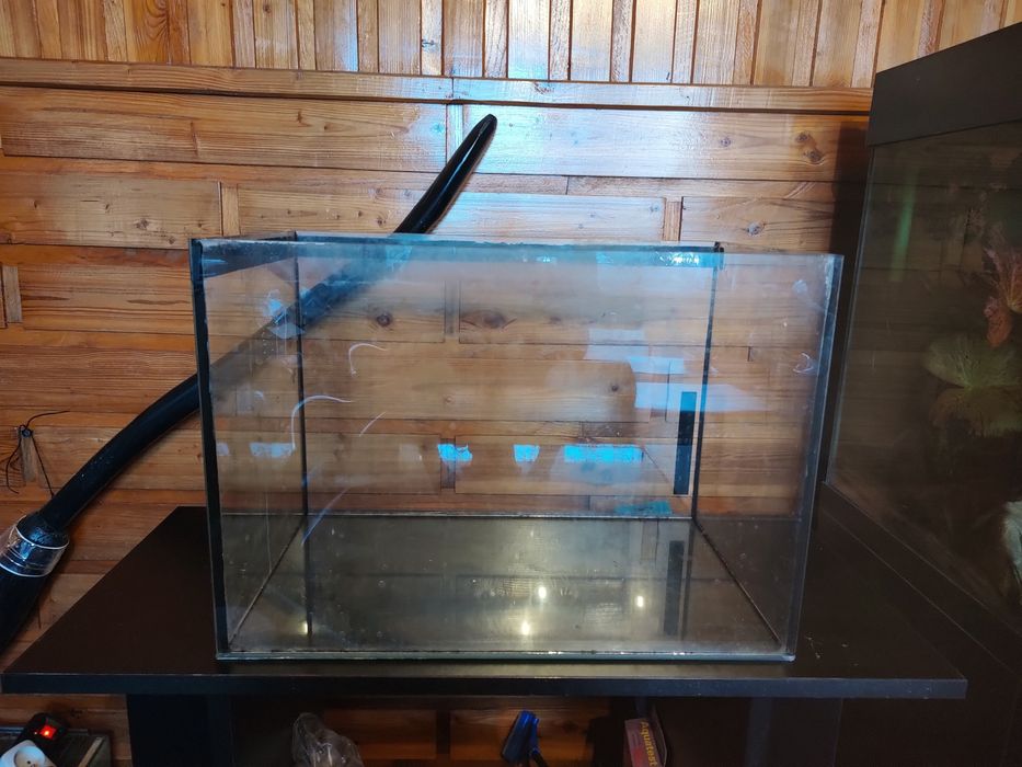 Akwarium dla chomika