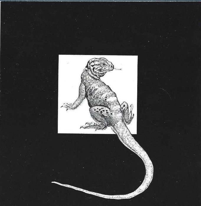 Doors - - - - - Waiting For The Sun - - - - - CD