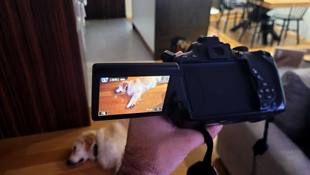 Canon EOS 700D + Lente 18-55mm + Bolsa + 2x Sandisk 32GB