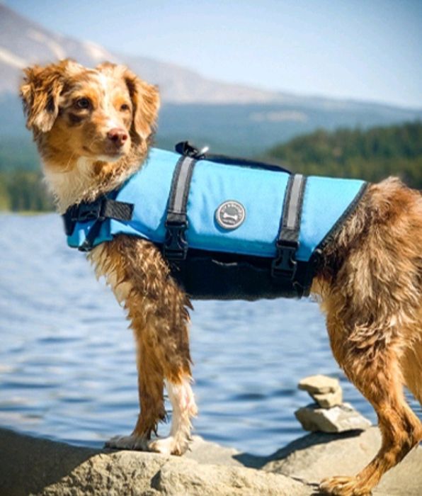 VIVAGLORY Ripstop kamizelka ratunkowa dla psów