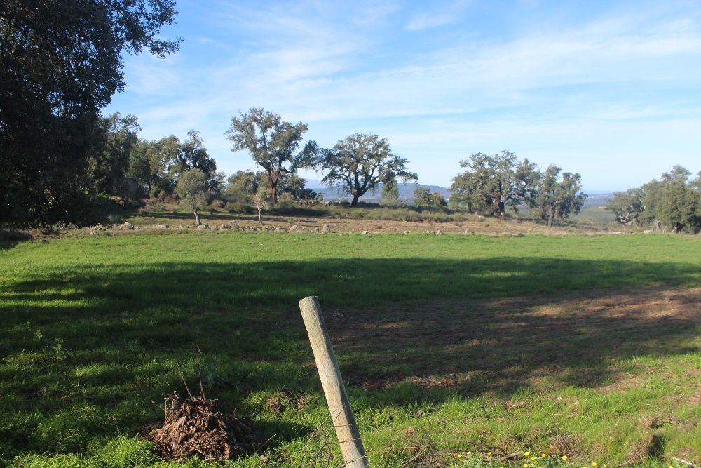 Terreno Aldeia Santa Margarida