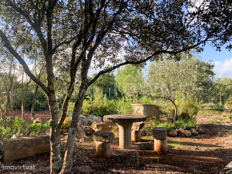 Refúgio Natural - Terreno — Brogueira, Parceiros De Igreja E Alcorochel, Santarém
