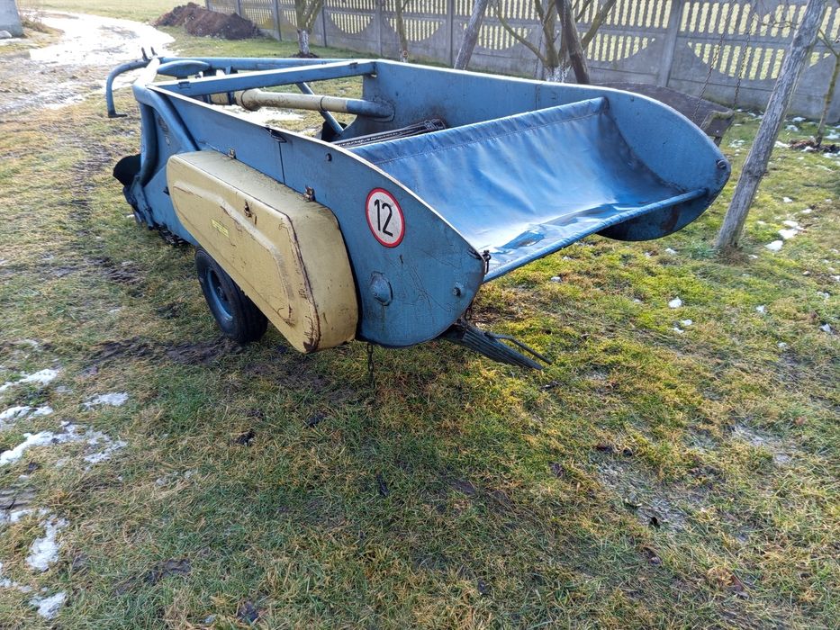 Ziemniaki warzywa chrzan cebula kopaczka