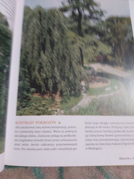 Sprzedam nowa książka-Drzewa w ogrodzie