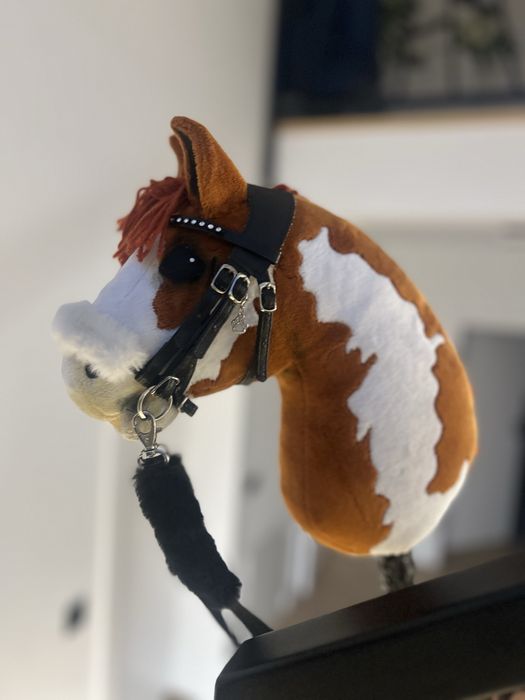 Hobby horse A5 lekki