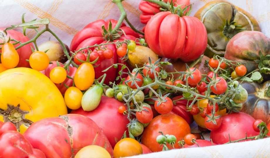 Yara Mila Complex, hydrokomplex, nawóz yara oryginalny 25 kg z dostawą