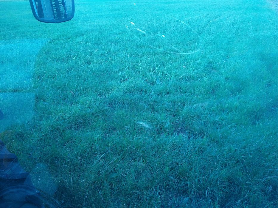 Siano suche belka 120 , dowóz do klienta