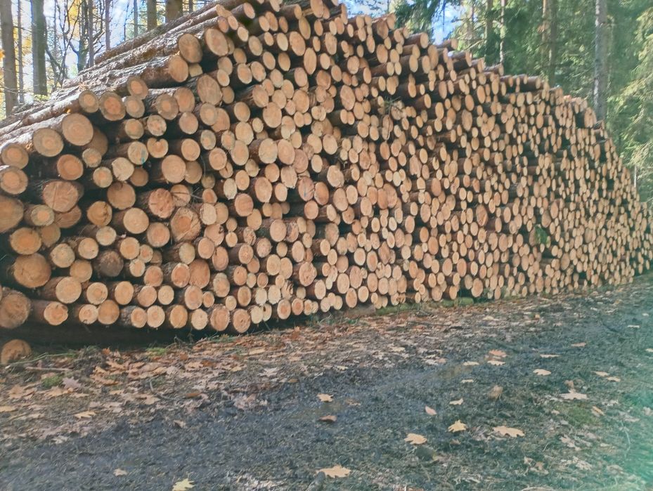 Słupki belki Żerdzie