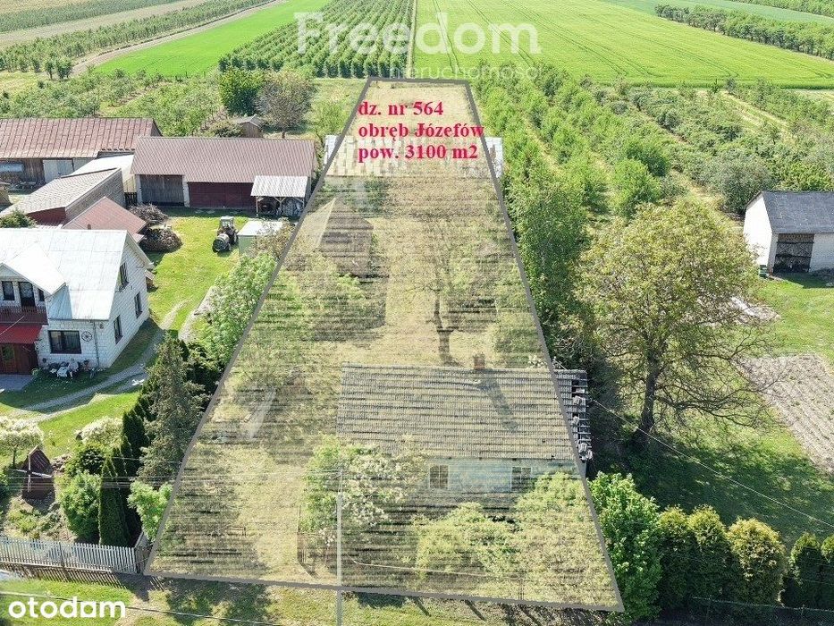 Działka budowlana 31ar z domem i budynkami - Widok 3